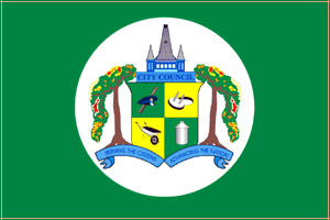 Regional Flag of Georgetown