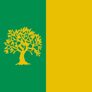 Regional Flag of Olivetum
