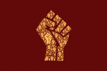 Regional Flag of Solidarity